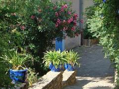 183 D25 BORMES LES MIMOSAS 3_000035